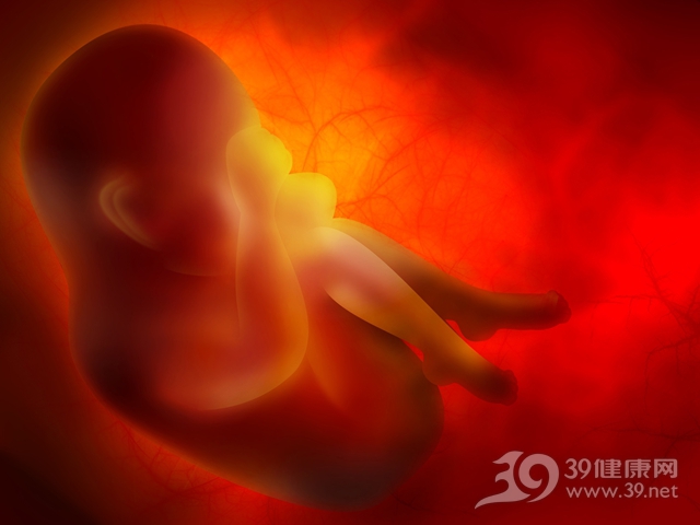 婴儿 胎儿 胚胎 怀孕 子宫_9028961_xxl