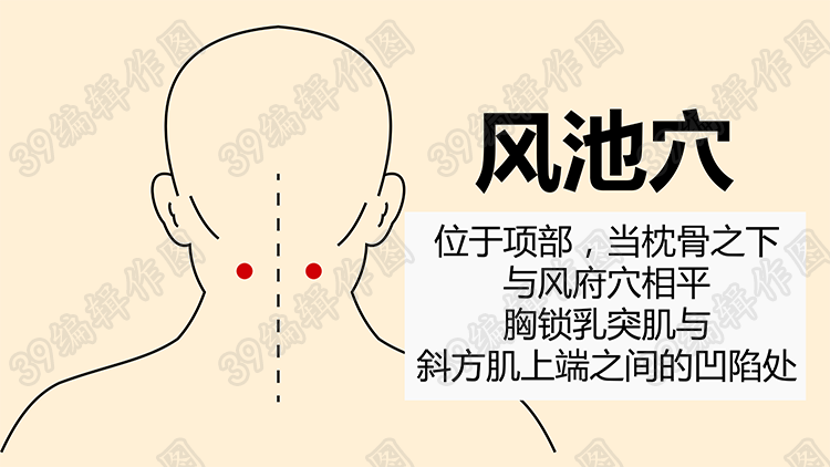 人到老年,3类食物不妨经常吃,对脑部有养护作用